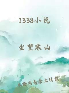1338小说