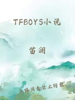 TFBOYS小说