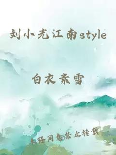 刘小光江南style